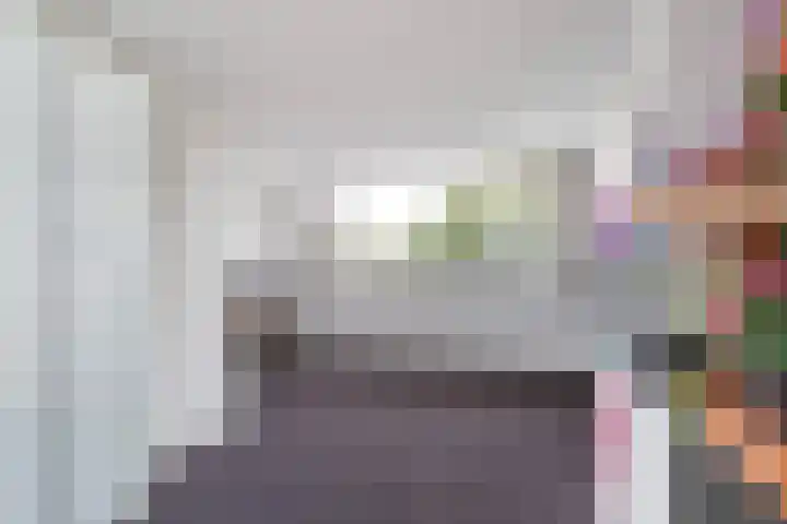 Schildtale 9 Maasland thumbnail 46