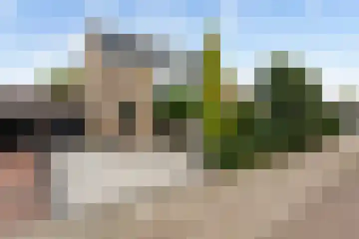 Schildtale 9 Maasland thumbnail 5