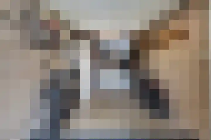 Schildtale 9 Maasland thumbnail 50