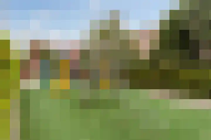 Schildtale 9 Maasland thumbnail 51