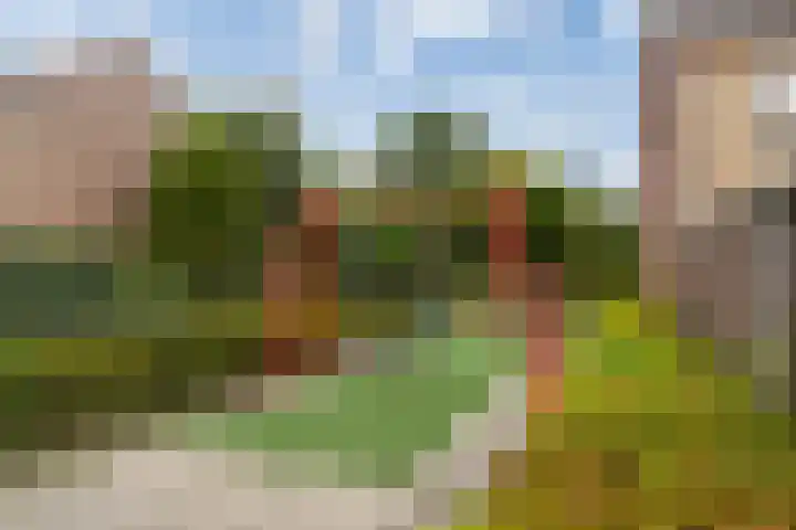 Schildtale 9 Maasland thumbnail 52