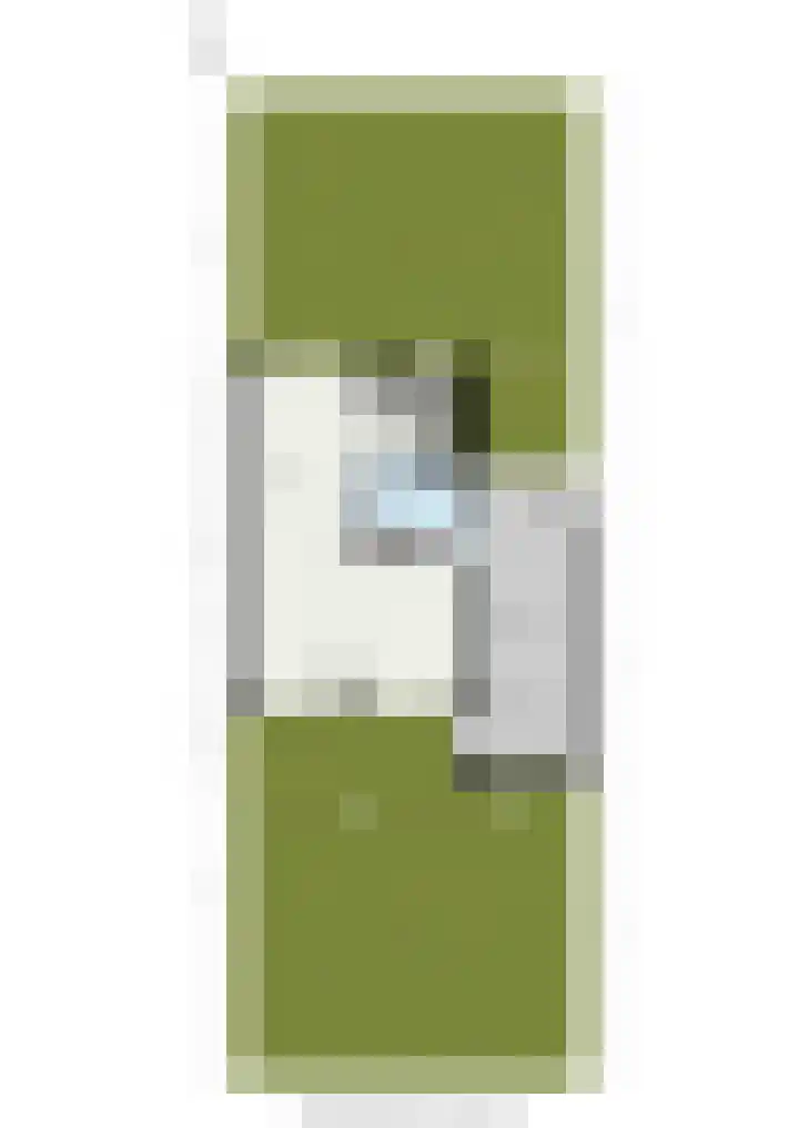 Schildtale 9 Maasland thumbnail 56