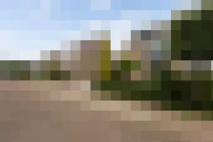 Schildtale 9 Maasland thumbnail 6