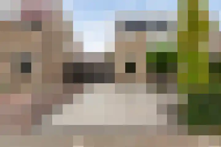 Schildtale 9 Maasland thumbnail 7