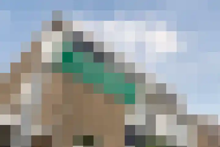 Schildtale 9 Maasland thumbnail 8