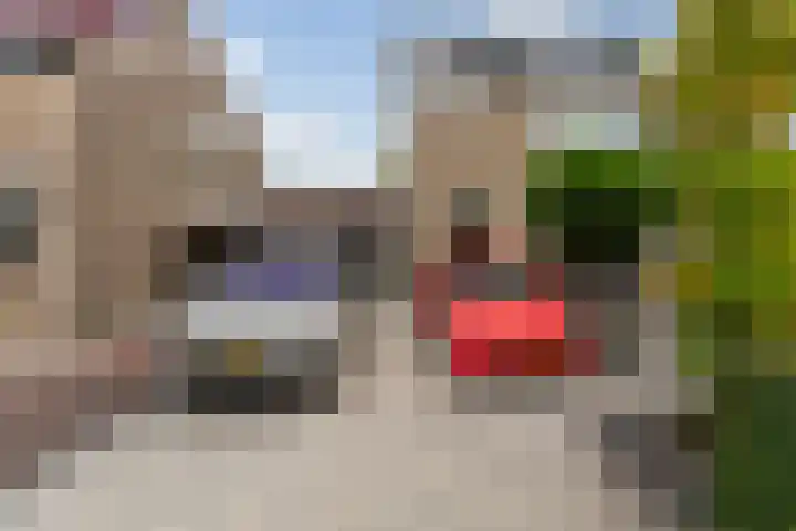 Schildtale 9 Maasland thumbnail 9
