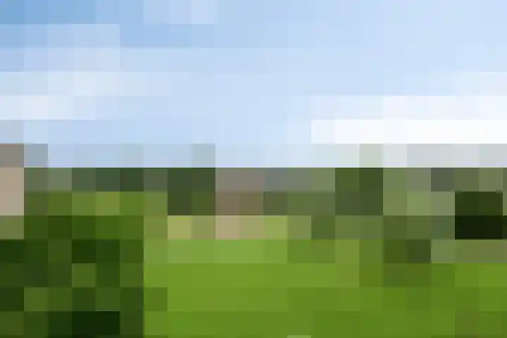 Schildwacht 35 Oss thumbnail 16