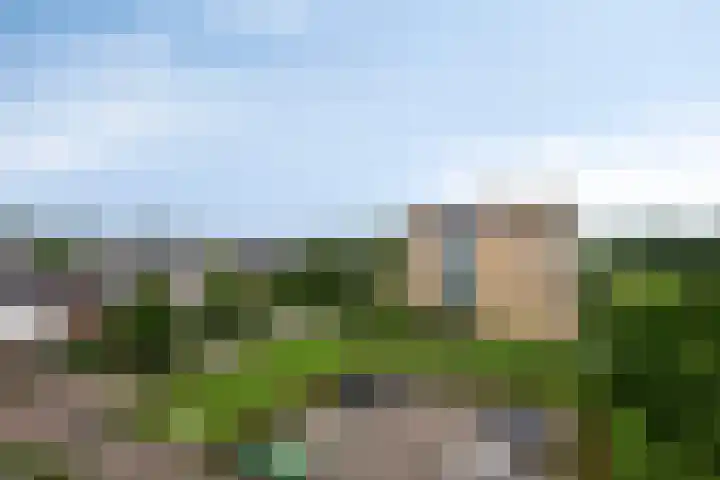 Schildwacht 35 Oss thumbnail 19