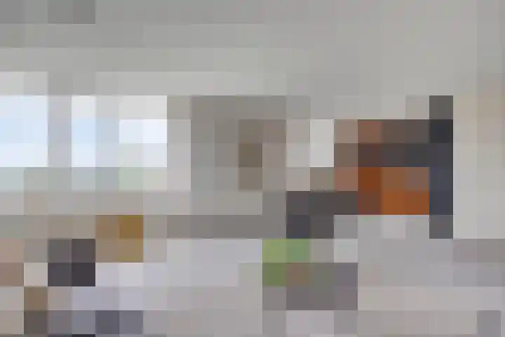 Schildwacht 35 Oss thumbnail 21