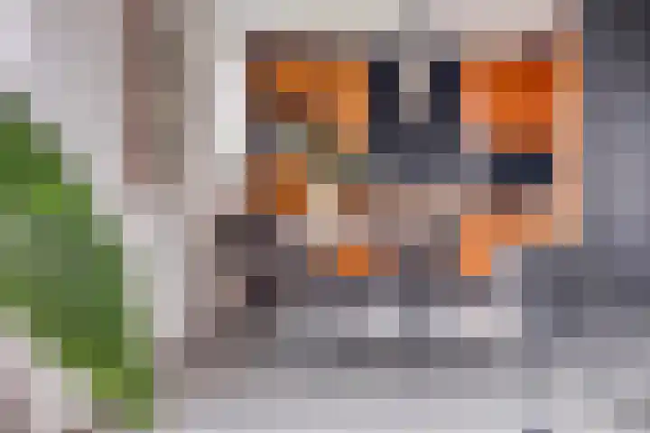 Schildwacht 35 Oss thumbnail 22