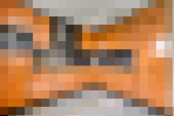Schildwacht 35 Oss thumbnail 24