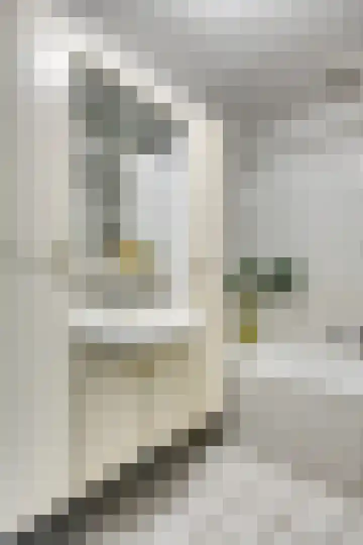 Schildwacht 35 Oss thumbnail 26