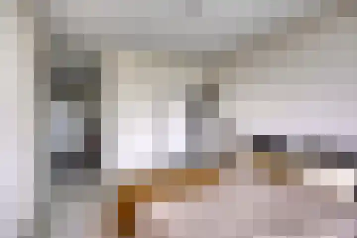Schildwacht 35 Oss thumbnail 32