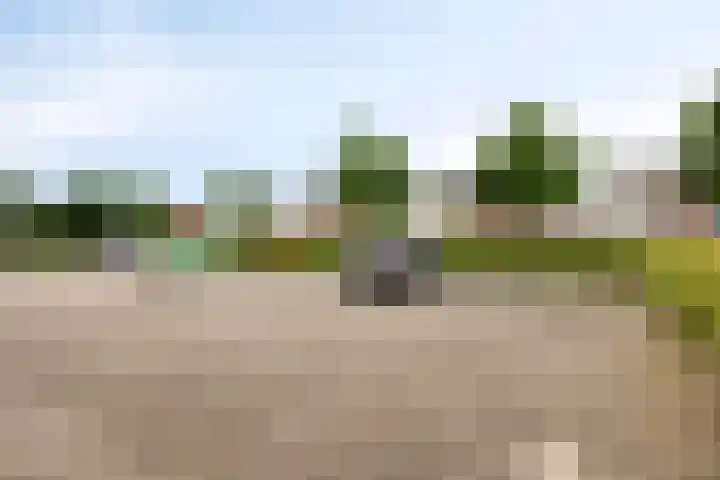 Schildwacht 35 Oss thumbnail 36