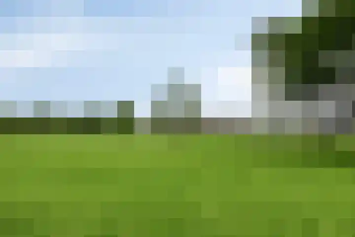 Schildwacht 35 Oss thumbnail 39