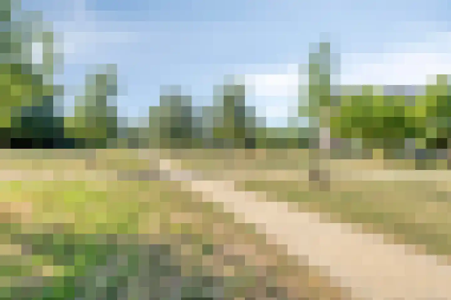 Schildwacht 49 Oss thumbnail 10