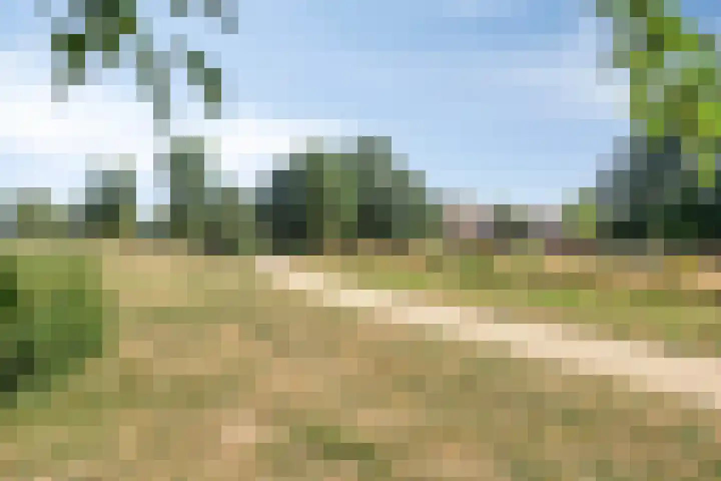 Schildwacht 49 Oss thumbnail 11