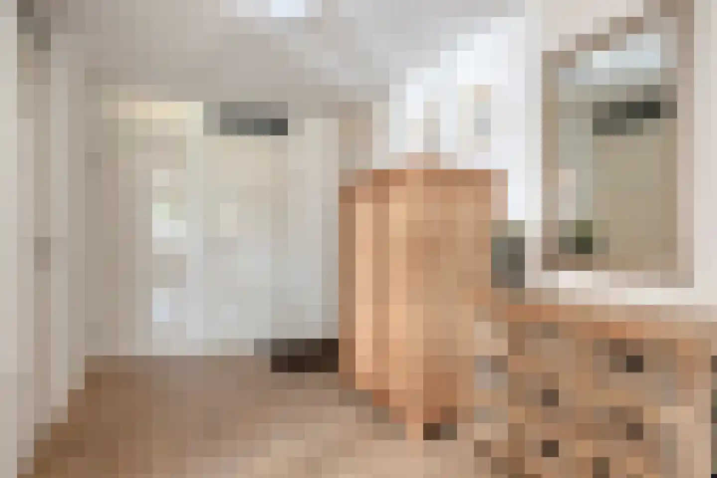 Schildwacht 49 Oss thumbnail 21