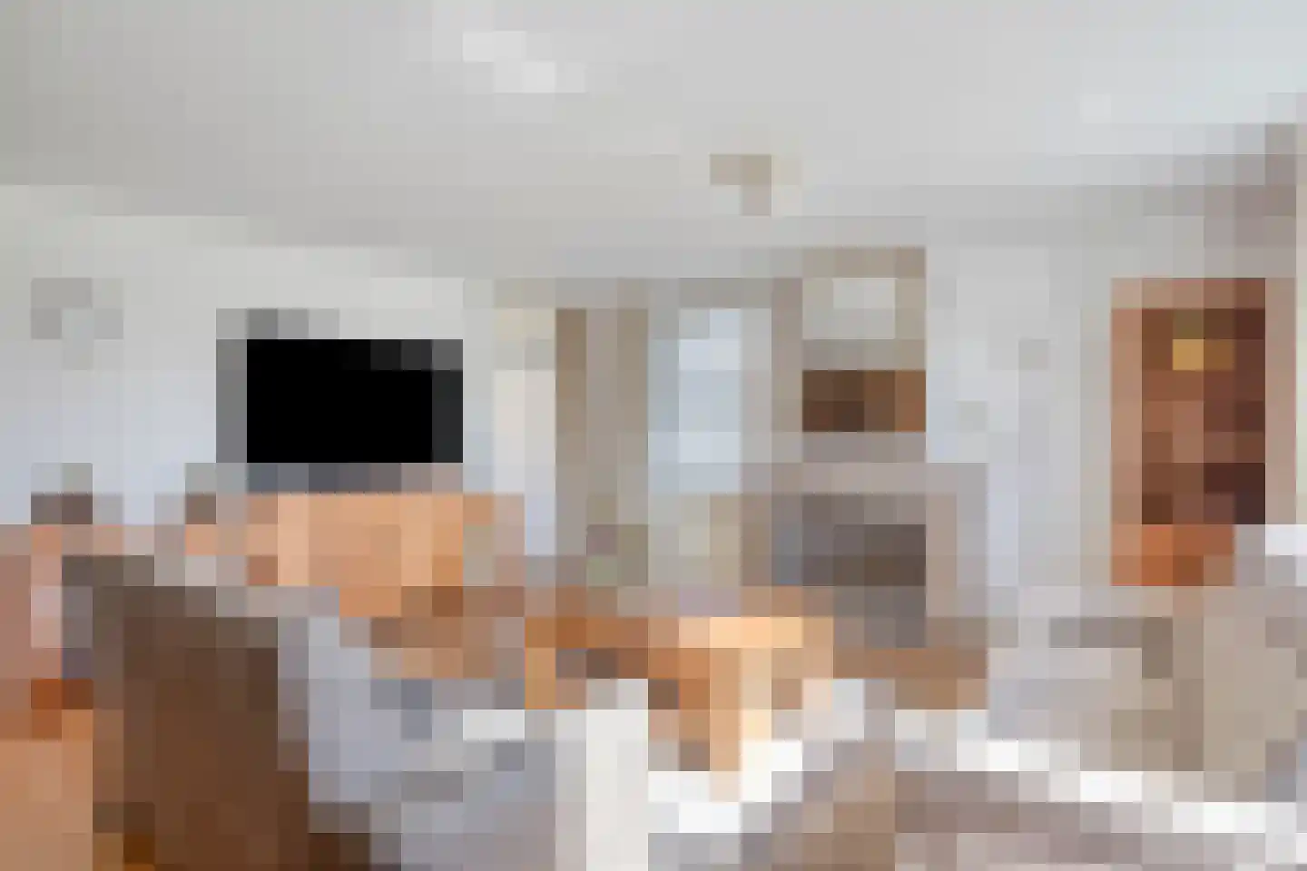 Schildwacht 49 Oss thumbnail 4