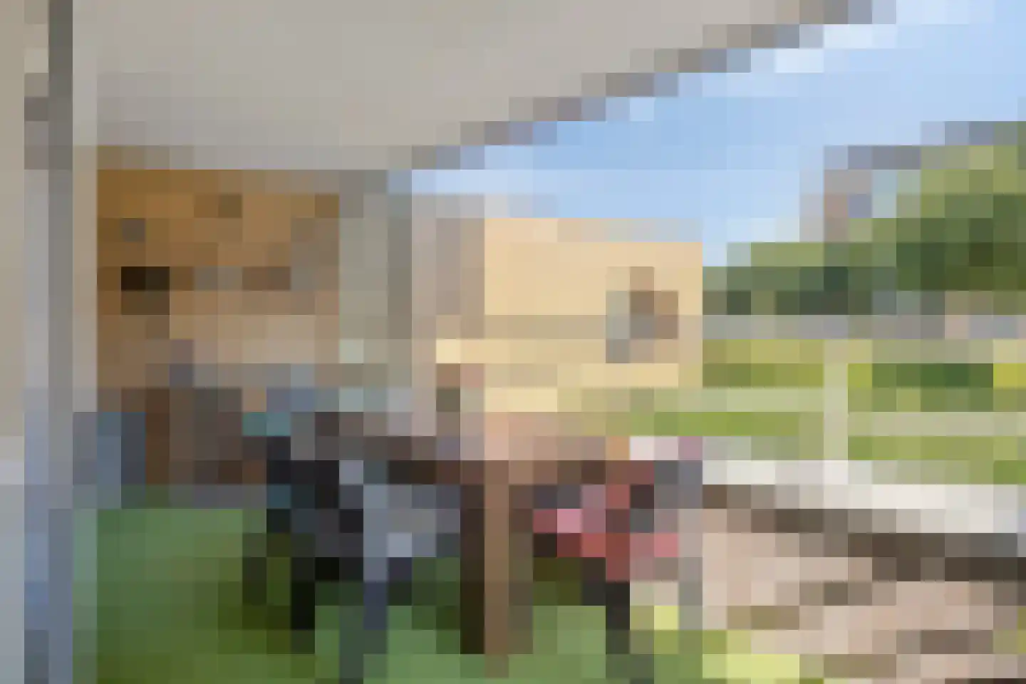 Schildwacht 49 Oss thumbnail 9
