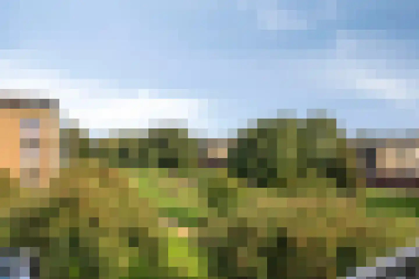Schildwacht 71 Oss thumbnail 19