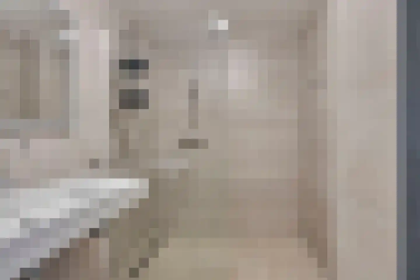 Schildwacht 71 Oss thumbnail 4