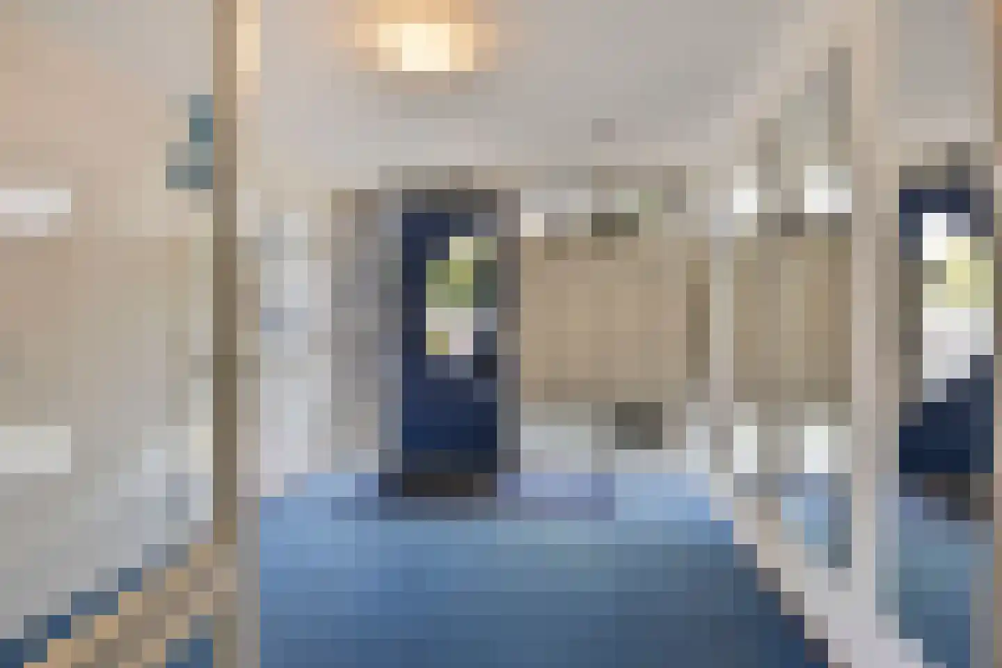 Schildwacht 71 Oss thumbnail 7