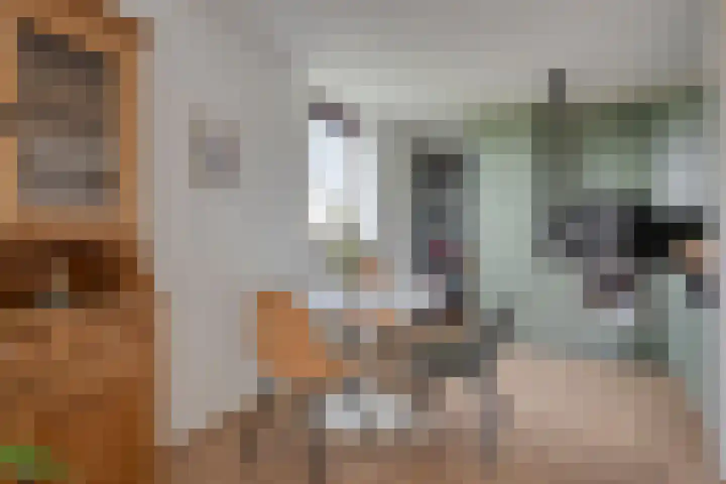 Schildwacht 81 Oss thumbnail 12