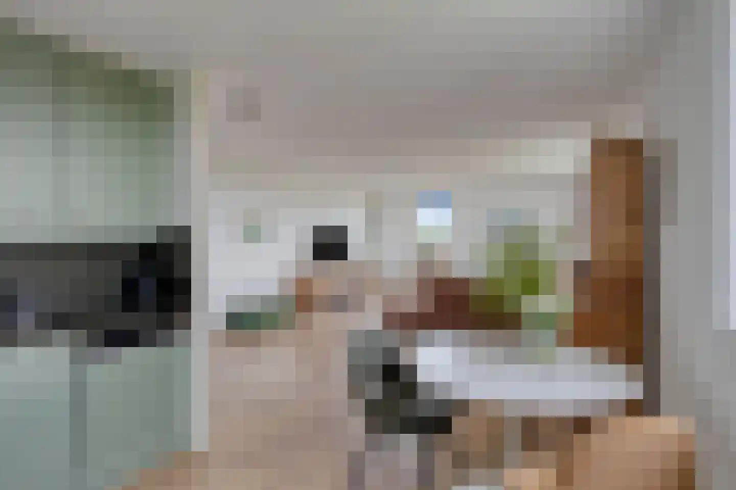 Schildwacht 81 Oss thumbnail 13