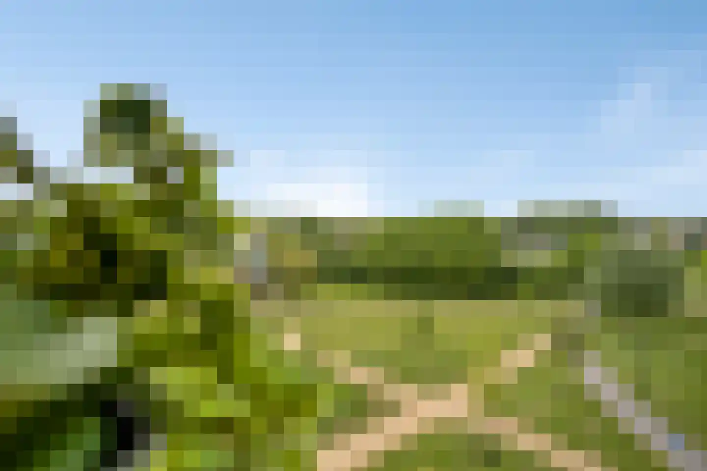 Schildwacht 81 Oss thumbnail 29
