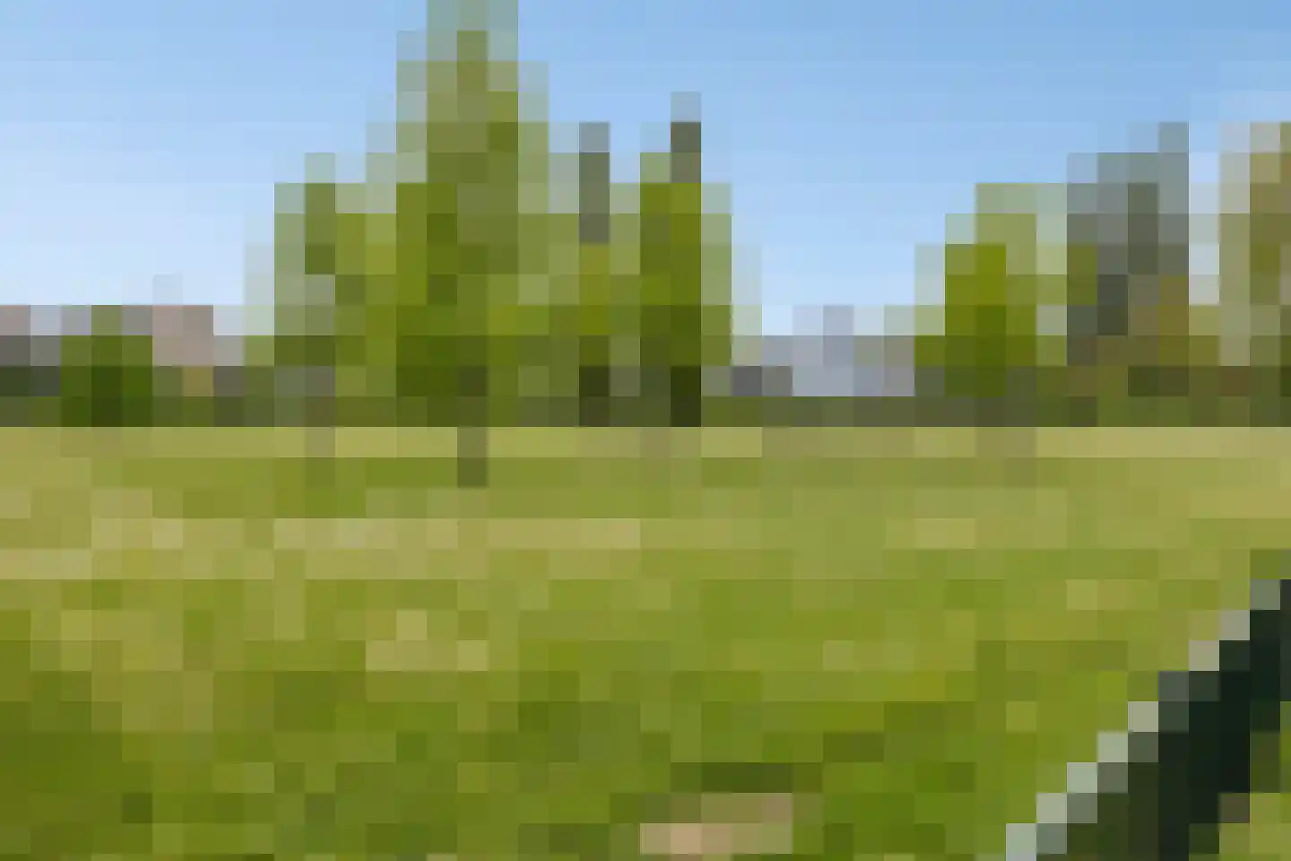 Schildwacht 81 Oss thumbnail 30