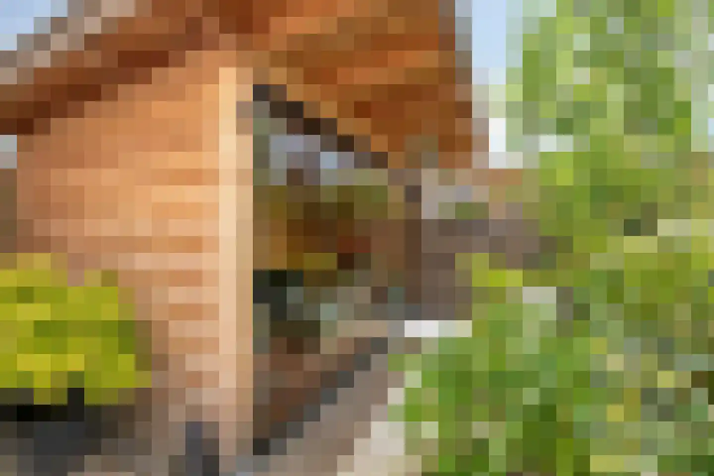 Schildwachtstraat 27 Zwolle thumbnail 37