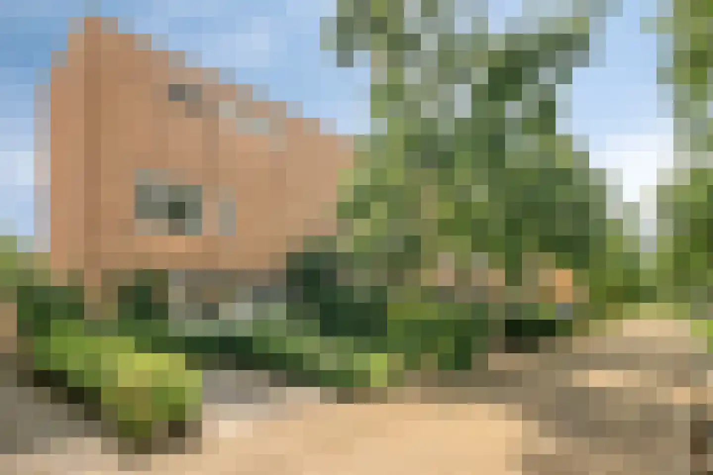 Schildwachtstraat 27 Zwolle thumbnail 42