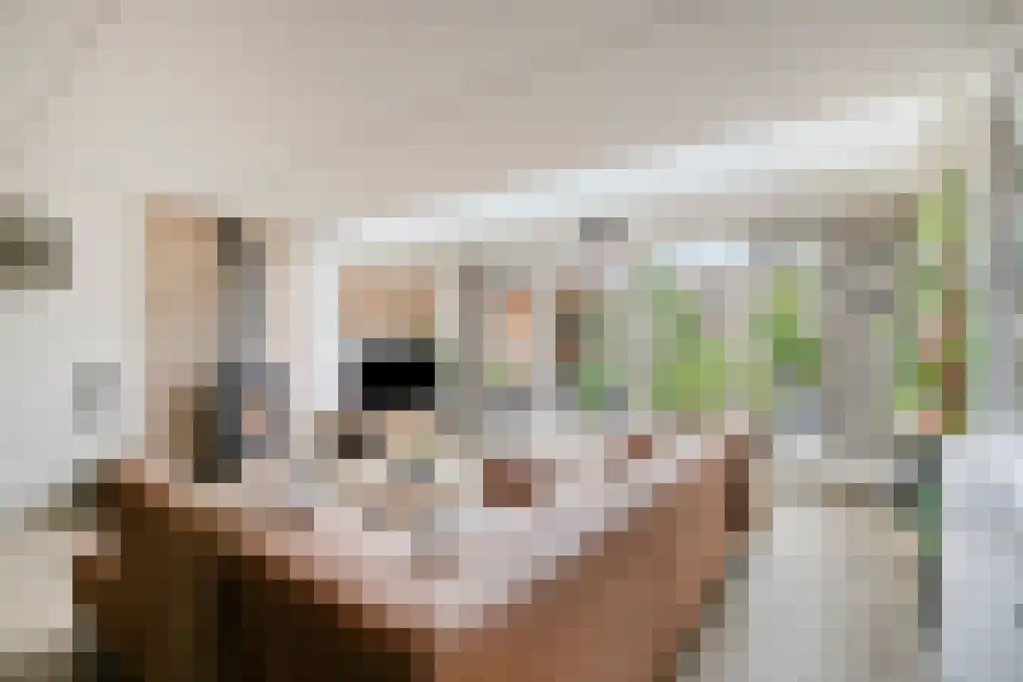 Schildwachtstraat 27 Zwolle thumbnail 8