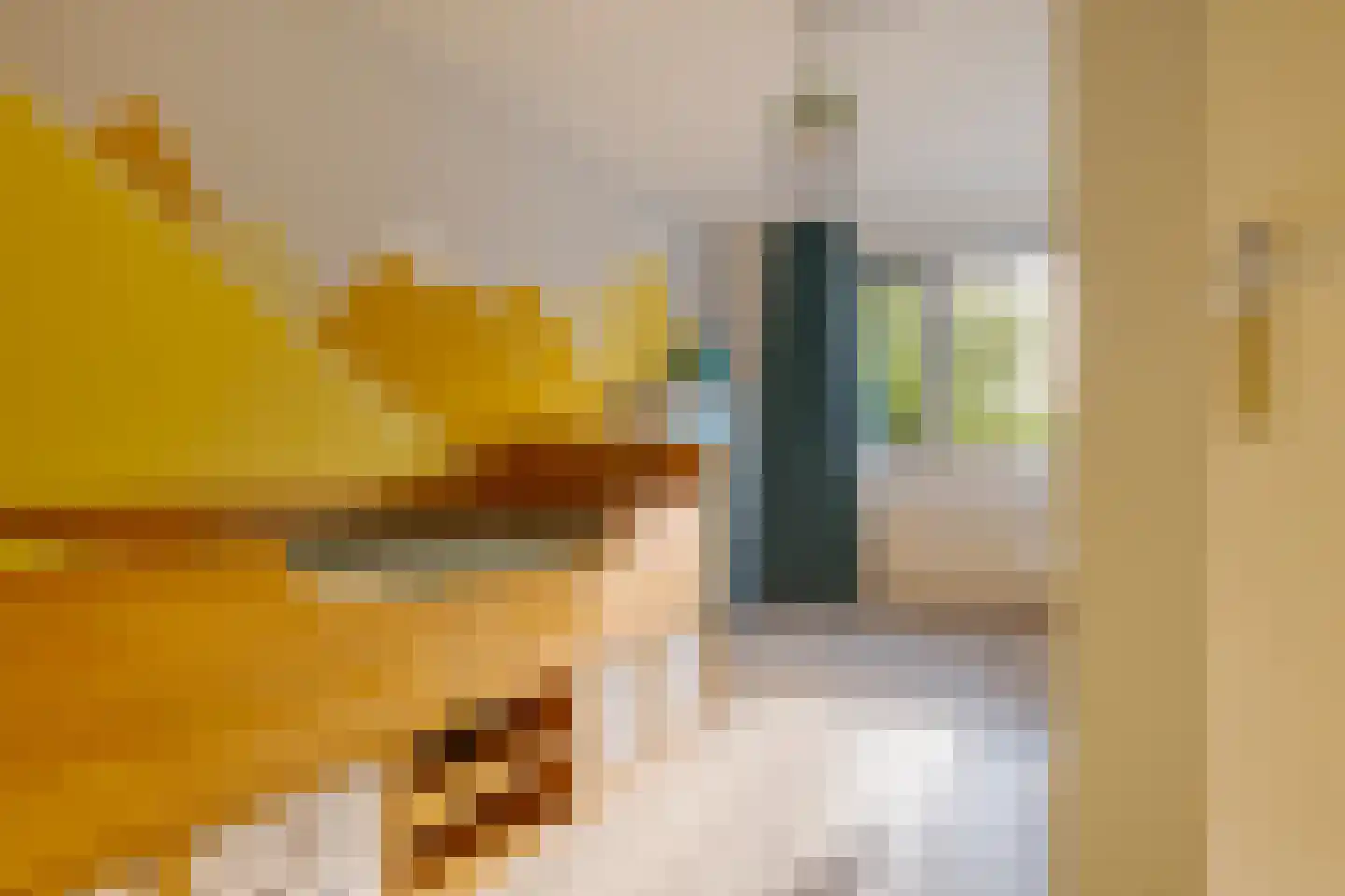 Schildwachtstraat 49 Zwolle thumbnail 31