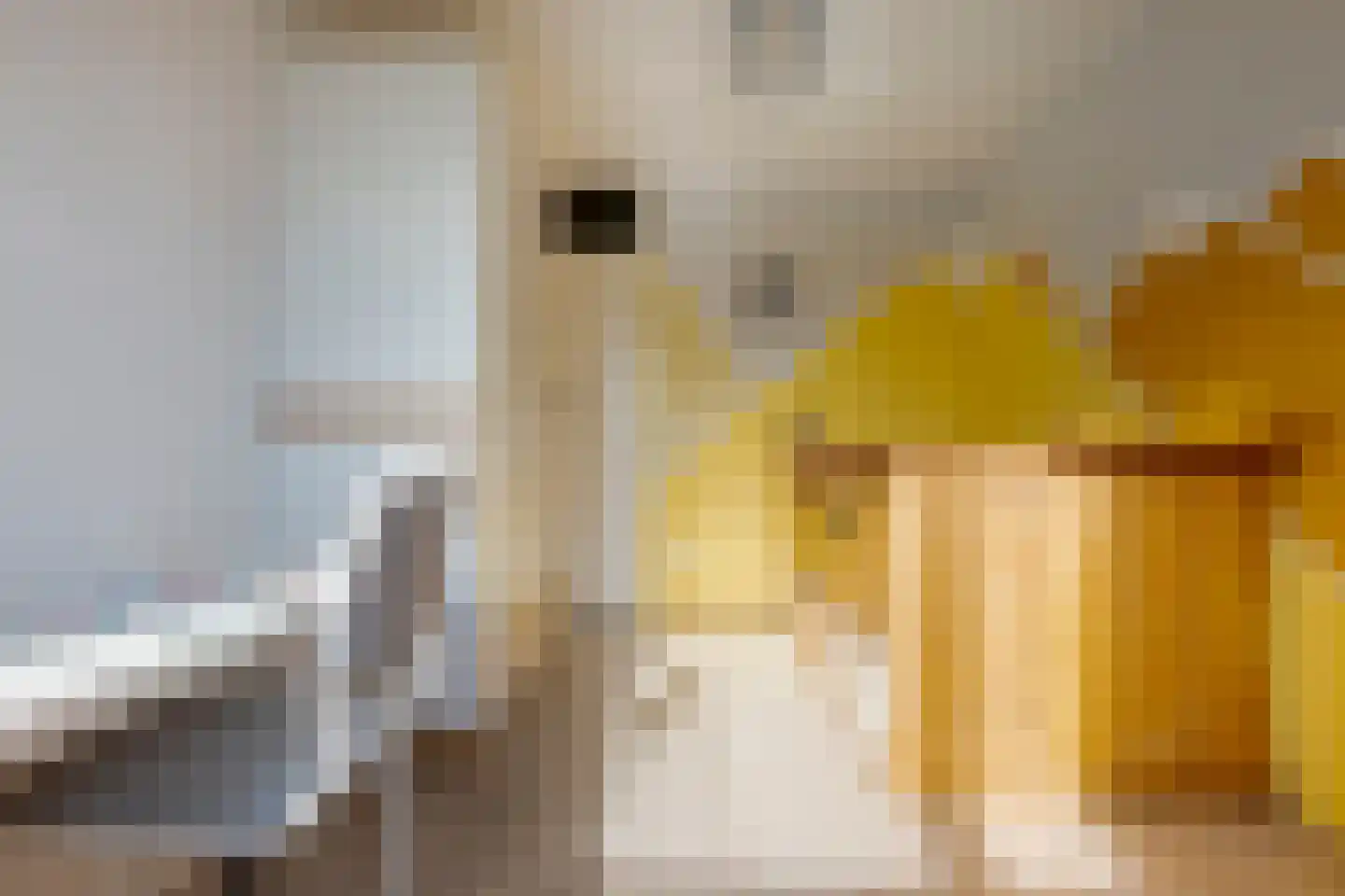 Schildwachtstraat 49 Zwolle thumbnail 33