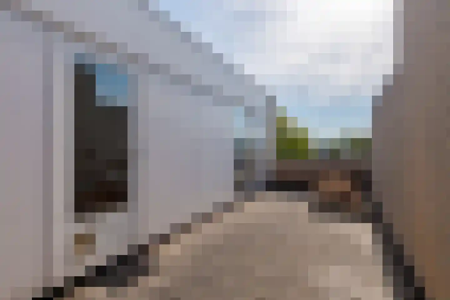 Schildwachtstraat 49 Zwolle thumbnail 45