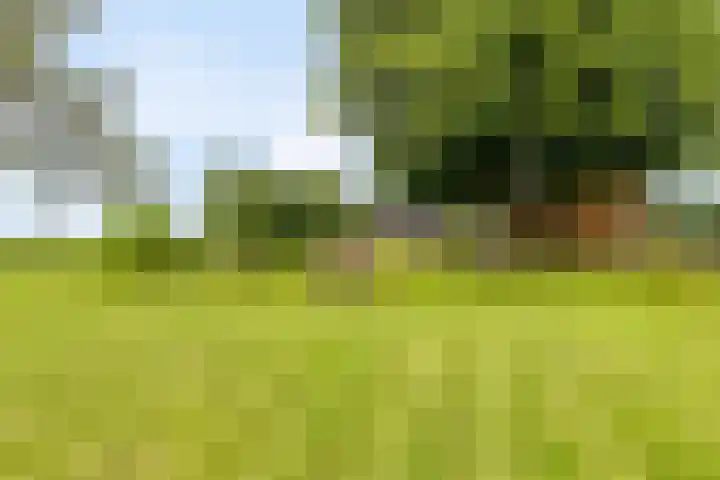 Schildwolderdijk 99 Schildwolde thumbnail 10