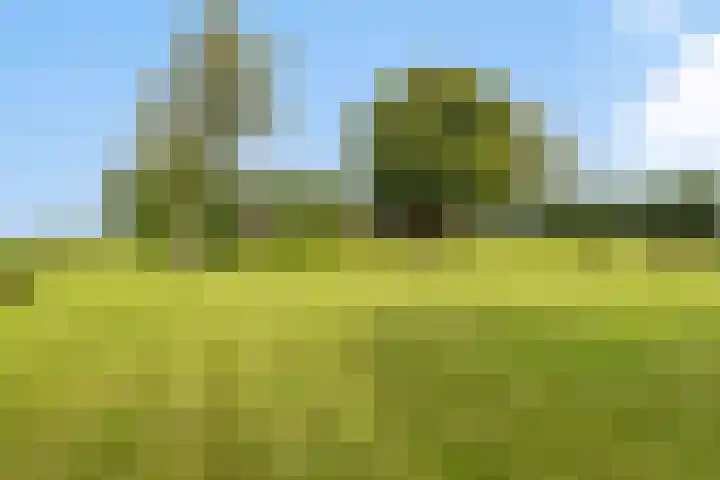 Schildwolderdijk 99 Schildwolde thumbnail 11