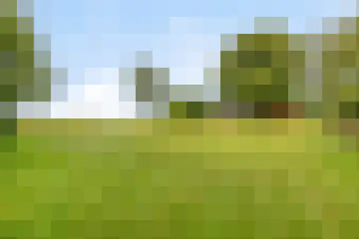 Schildwolderdijk 99 Schildwolde thumbnail 12