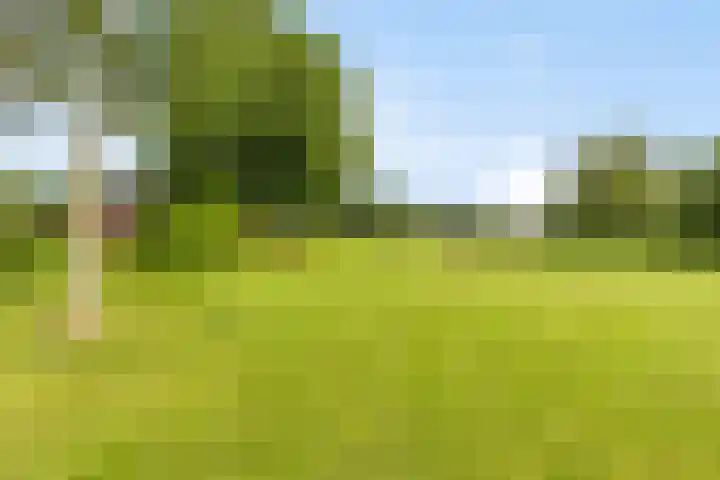 Schildwolderdijk 99 Schildwolde thumbnail 13