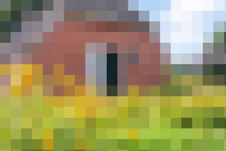 Schildwolderdijk 99 Schildwolde thumbnail 14