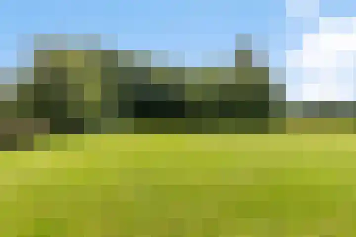 Schildwolderdijk 99 Schildwolde thumbnail 16