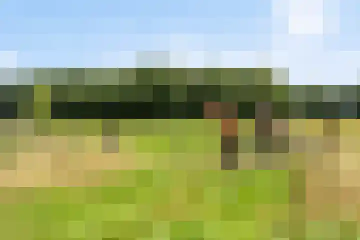 Schildwolderdijk 99 Schildwolde thumbnail 17