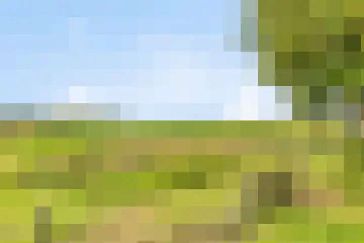 Schildwolderdijk 99 Schildwolde thumbnail 18