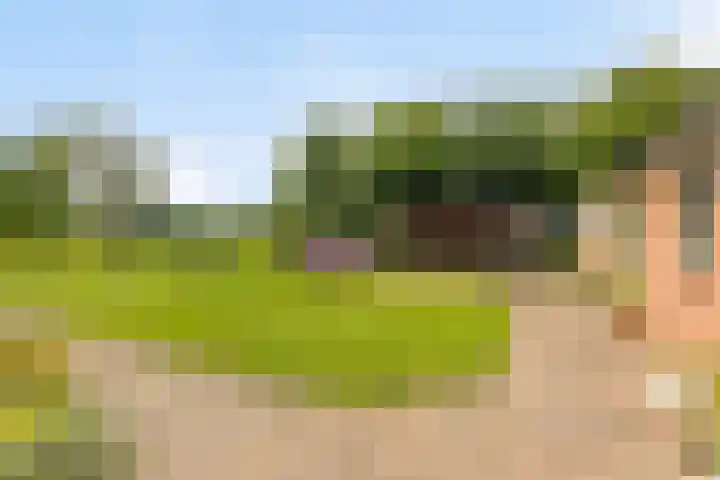 Schildwolderdijk 99 Schildwolde thumbnail 21