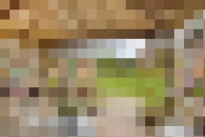 Schildwolderdijk 99 Schildwolde thumbnail 22