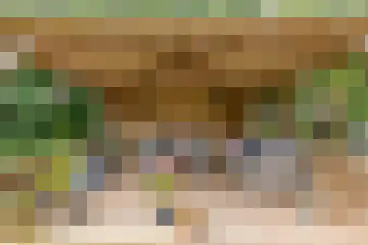 Schildwolderdijk 99 Schildwolde thumbnail 23