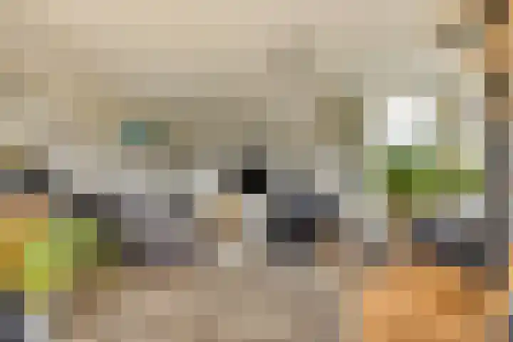 Schildwolderdijk 99 Schildwolde thumbnail 33