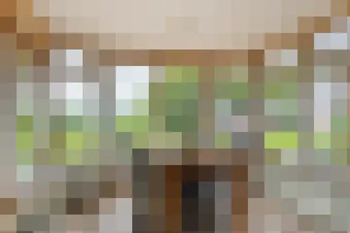 Schildwolderdijk 99 Schildwolde thumbnail 37